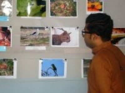 ZOO QUEST 20145