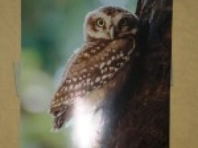 Zooquest 2015 Photo Gallery9